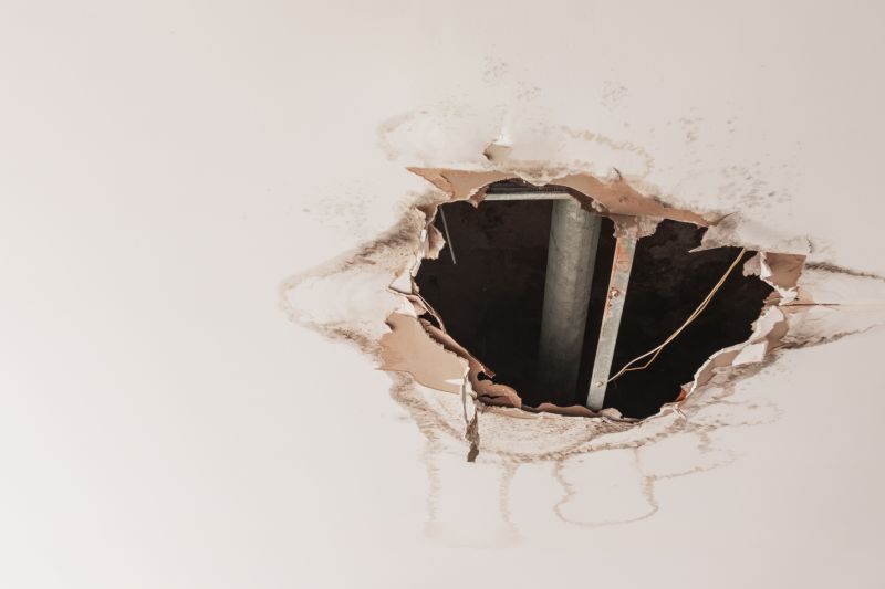 Ceiling Repair Service in Olathe, KS